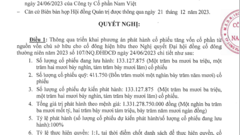 Nam Việt sẽ trở thành công ty cá tra có vốn điều lệ lớn nhất