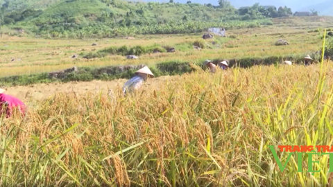 Lai Châu: Nông dân xã Bản Lang chung tay bảo vệ môi trường