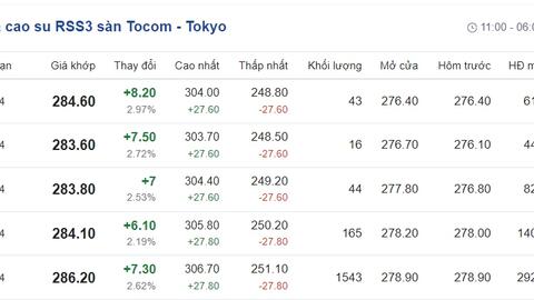 Giá cao su hôm nay 25/1/2024: Cập nhật giá cao su trong nước và thế giới