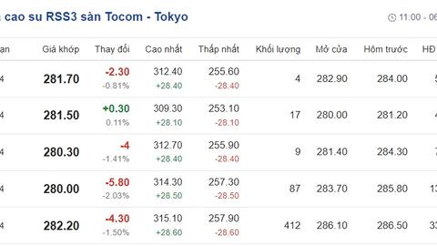 Giá cao su hôm nay 29/1/2024: Cập nhật giá cao su trong nước và thế giới