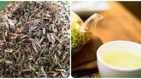 Những người không nên đun nước lá đinh lăng để uống