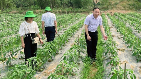 Nhân rộng mô hình kinh tế trong đồng bào dân tộc thiểu số ở Kim Bôi