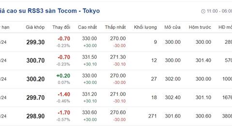 Giá cao su hôm nay 4/3/2024: Cập nhật giá cao su trong nước và thế giới