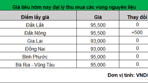 Đà giảm giá hạt tiêu đã dừng, những dự báo mới nhất