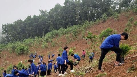 Tuổi trẻ Hoà Bình chung tay xây dựng nông thôn mới và phát động Chủ nhật xanh