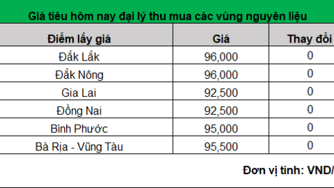 Giá hạt tiêu tăng lên mức nào đó sẽ đạt điểm "bão hoà"