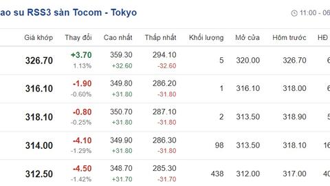 Giá cao su hôm nay 23/4/2024: Cập nhật giá cao su trong nước và thế giới