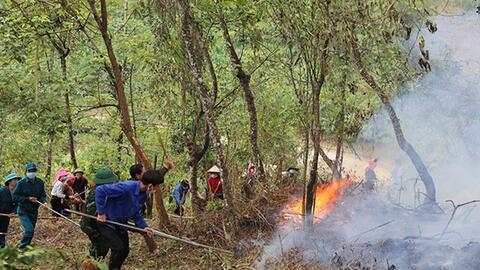 Yên Bái yêu cầu tăng cường các biện pháp cấp bách phòng cháy, chữa cháy rừng