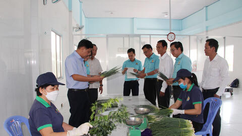 Phát huy vai trò của kinh tế hợp tác trong xây dựng nông thôn mới