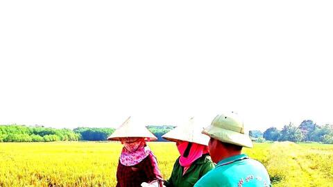 Thanh Hóa: Hội Nông dân xã Vân Sơn ra quân bảo vệ môi trường