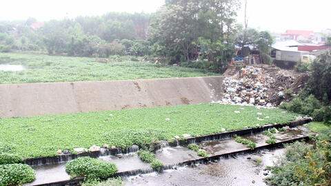 Bắc Giang: Giữ vững tiêu chí môi trường trong xây dựng nông thôn mới