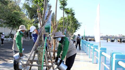 Bình Thuận nhân rộng các công trình trồng cây xanh