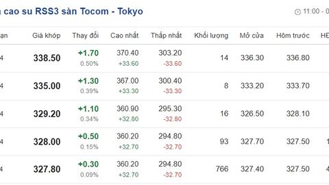 Giá cao su hôm nay 24/6/2024: Cập nhật giá cao su trong nước và thế giới