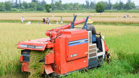 Nghiên cứu đánh giá tác động kinh tế của biến đổi khí hậu đến đồng bằng sông Cửu Long