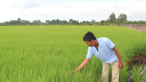 Nâng tầm chất lượng, giá trị cây trồng, vật nuôi