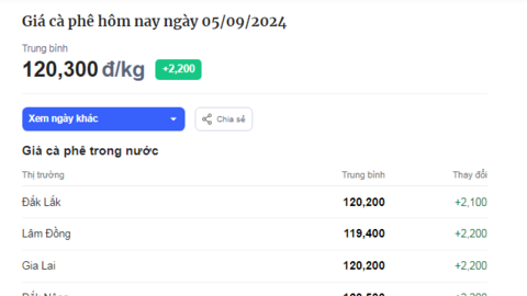 Giá cà phê tiếp tục tăng mạnh, cà phê xuất khẩu cùa Việt Nam tiến sát mốc 5.000 USD/tấn