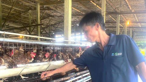 Những nông dân hiện đại chung sức xây dựng quê hương