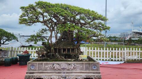 Hà Nội: Gìn giữ, bảo tồn và phát triển nghề truyền thống