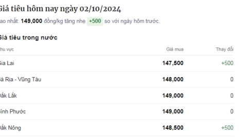 Giá tiêu tiếp tục tăng ở Đắk Nông và Gia Lai hôm nay, sắp đuổi kịp Đắk Lắk và Bình Phước
