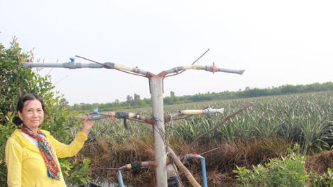 Phụ nữ làm kinh tế giỏi