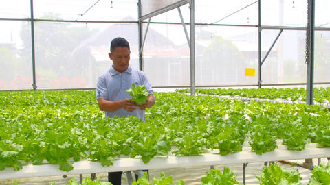 Thu hút đầu tư phát triển nông nghiệp ứng dụng công nghệ cao