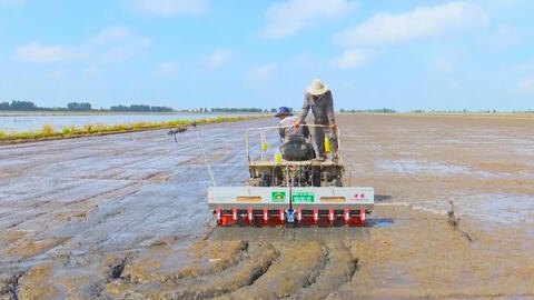 Ứng dụng công nghệ cao trên lúa - tiền đề cho Đề án 1 triệu hécta lúa chất lượng cao