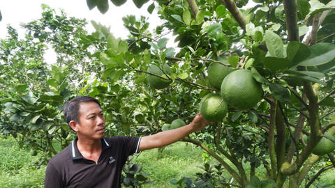 Phát triển sản phẩm OCOP gắn với xây dựng nông thôn mới