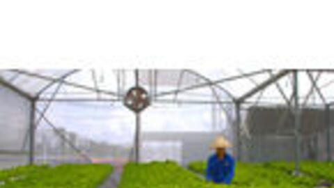 Tái cơ cấu ngành Nông nghiệp gắn với xây dựng nông thôn mới