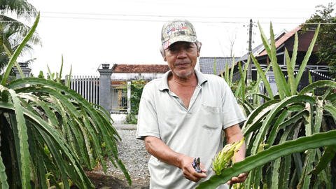 Bước đầu áp dụng nông nghiệp hữu cơ