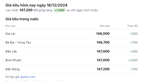 Giá tiêu vẫn đi lên, Bình Phước có giá tiêu tăng mạnh nhất, cao thứ 2 Tây Nguyên