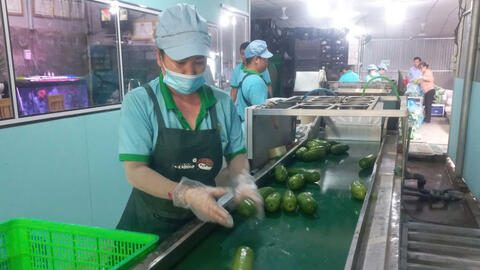 Đẩy mạnh liên kết giúp nông dân an tâm sản xuất