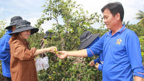 Phát triển nông nghiệp hữu cơ