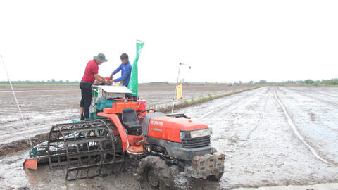 Vụ Đông Xuân 2024-2025 - Cần đẩy nhanh tiến độ gieo sạ