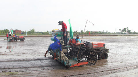 Nông dân tập trung sản xuất ngay từ đầu năm