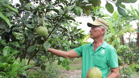 Nghĩa tình của những nông dân