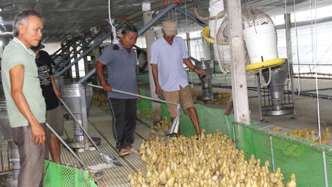 Mô hình hay mang lại hiệu quả thiết thực