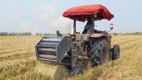 Tăng thu nhập nhờ rơm khô