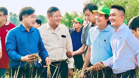 Canh tác lúa giảm phát thải: Nâng tầm giá trị hạt gạo Việt