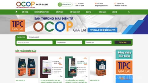 Thương mại điện tử mở lối cho nông sản Gia Lai vươn tầm