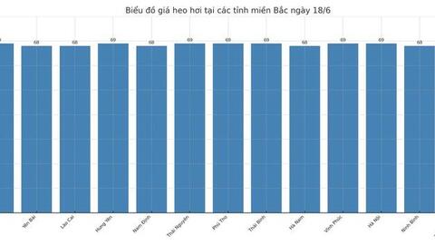 Giá heo hơi hôm nay 18/6/2025: Miền Nam, miền Trung tiếp đà giảm nhẹ
