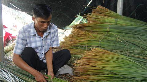 Một ngày với nông dân Tràm Lạc