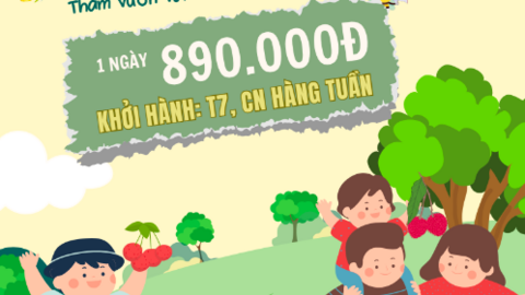 Du lịch nông sản 0 đồng ‘hút khách’ mùa hè