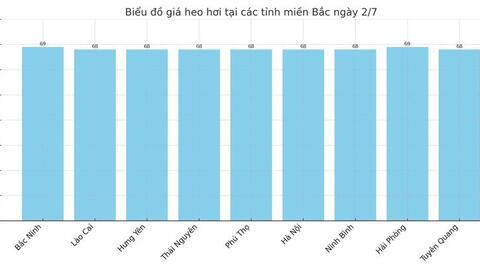 Giá heo hơi hôm nay 2/7/2025: Giảm đồng loạt trên toàn quốc