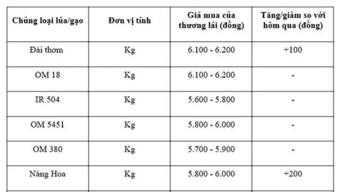 Giá lúa gạo hôm nay ngày 8/7/2025: Lúa tăng, gạo thường giảm mạnh