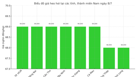 Giá heo hơi hôm nay 8/7/2025: Miền Nam tiếp tục giảm