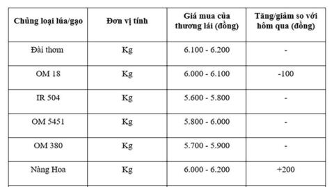 Giá lúa gạo hôm nay ngày 9/7/2025: Biến động trái chiều