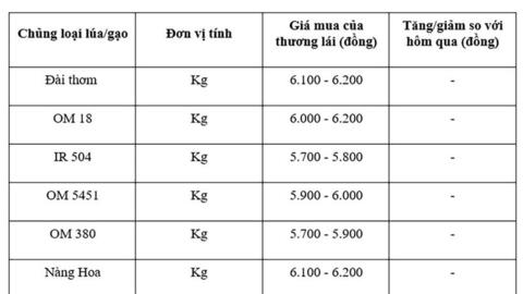 Giá lúa gạo hôm nay ngày 14/7: Gạo nguyên liệu xuất khẩu tăng
