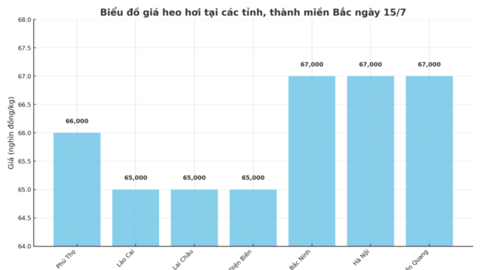 Giá heo hơi hôm nay 15/7/2025: Miền Bắc giảm nhẹ