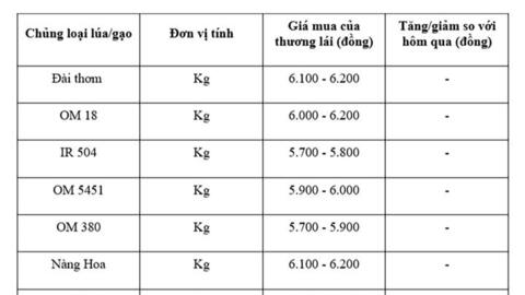 Giá lúa gạo hôm nay ngày 17/7: Thị trường ít biến động