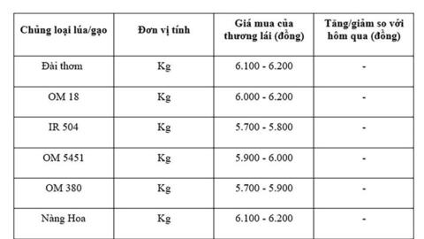 Giá lúa gạo hôm nay ngày 22/7: Gạo nguyên liệu xuất khẩu tiếp đà tăng